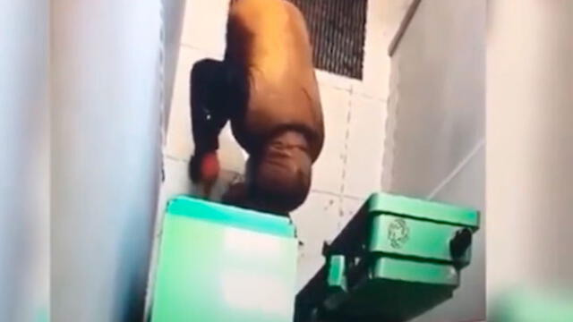 El momento en el que ladrón trata de roba cajero automático. Foto: captura de video.