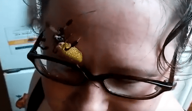 Facebook viral: retan para que joven coloque peligrosa araña en su rostro y sucede lo inesperado [VIDEO]