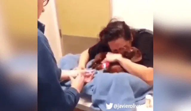 YouTube viral: mujer estalla en llanto, luego de que veterinario 'durmiera' a su perro [VIDEO]
