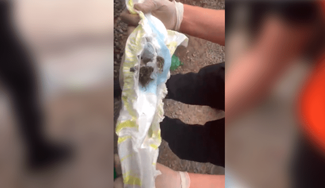 Mujer lleva droga en pañal de su bebé a partido de fútbol y Policía la detiene [VIDEO]