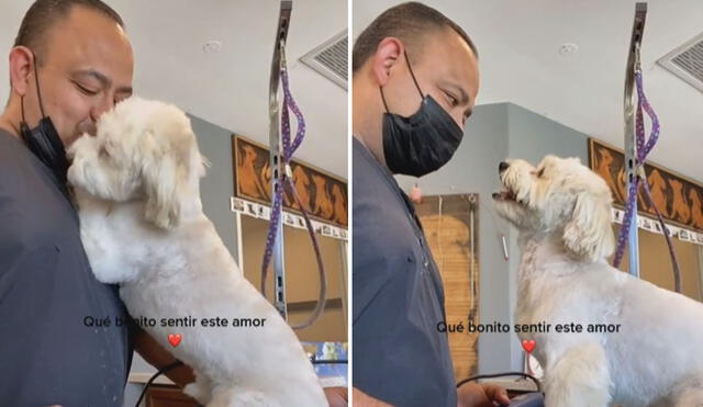 La tierna conducta del can logró conmover a miles de usuarios en las redes sociales. Foto: captura de TikTok