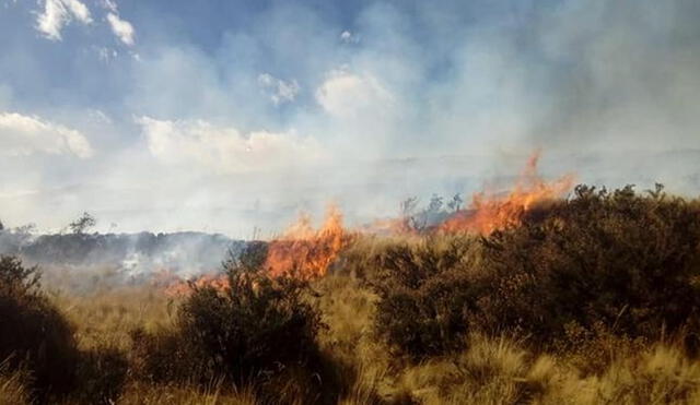 En total se registran 127 incendios forestales.