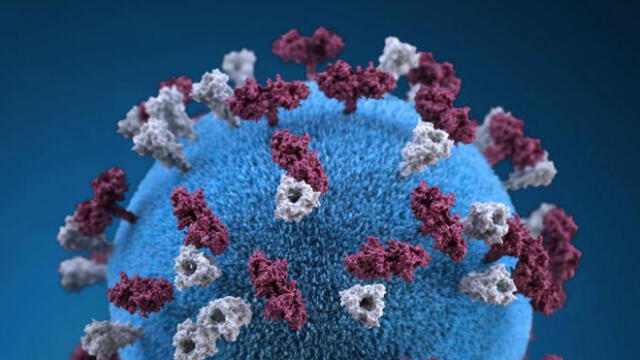 El virus de la sarampión es uno de los más perniciosos para la salud humana.