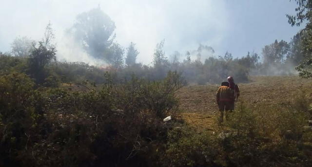 Áncash: incendio arrasa 10 hectáreas de plantaciones en menos de 24 horas 
