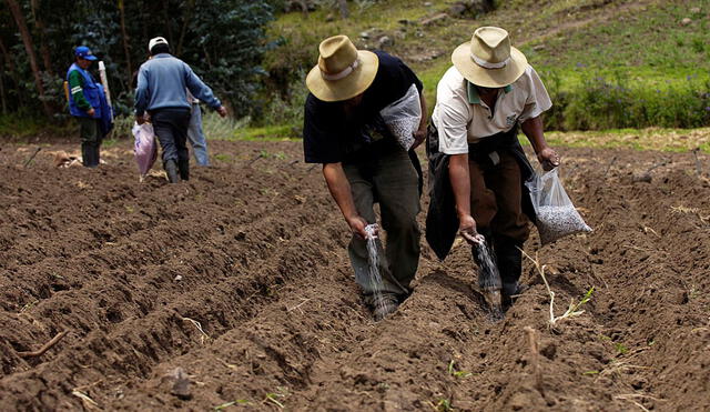 Ayacucho: candidatos regionales debatirán problemática del sector agrario