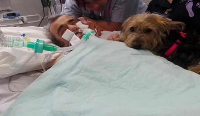 Facebook: Mascota logra que su dueño en coma reaccione en hospital  [VIDEO]
