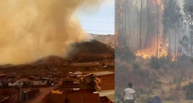 Controlan incendio que amenazaba parque arqueológico y jurásico en Cusco