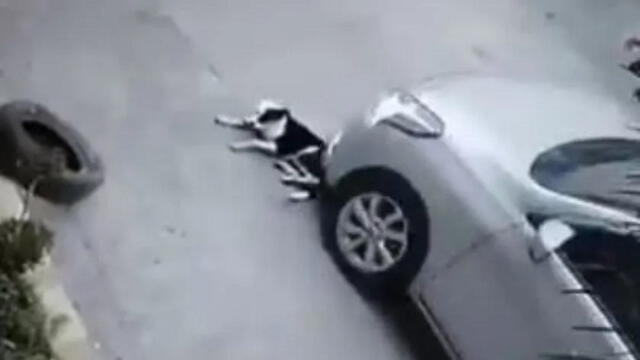 El momento en el que perrito es aplastado por un carro. Foto: captura de video.