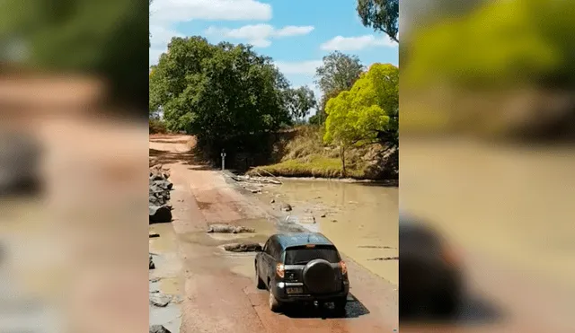 El carro de turistas se quedó atascado en el camino, al ser rodeado por más de 30 enormes cocodrilos. La impactante escena se hizo viral en Facebook