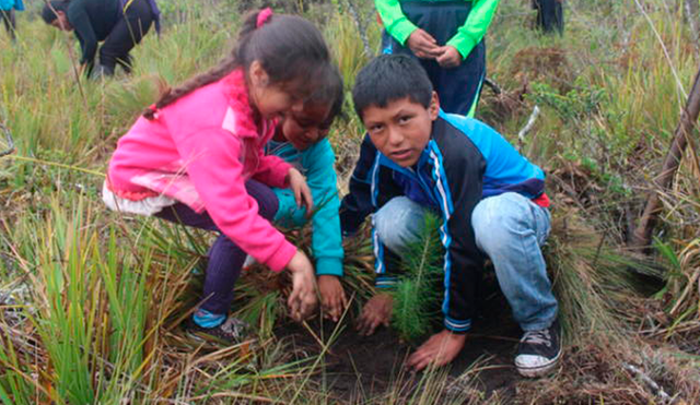Articulan esfuerzos para plan de forestación regional en Cajamarca