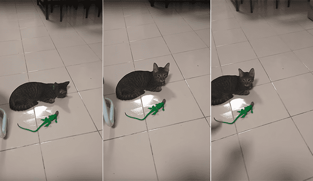 Facebook: Gato es sorprendido por iguana de juguete y tiene increíble reacción [VIDEO]