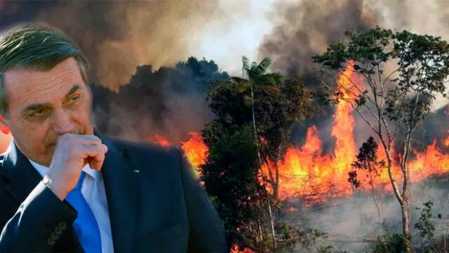 Incendios en el Amazonas habrían sido provocados por activistas de ONG, según investigación. Foto: Composición