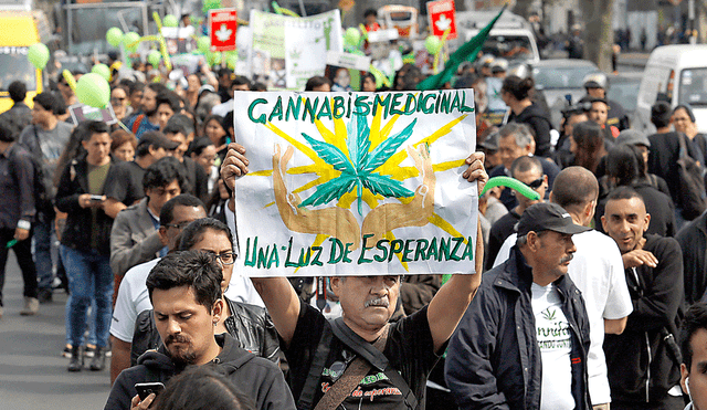 Cientos marcharon por la legalización de la marihuana para uso medicinal