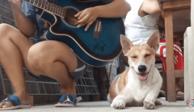 Desliza para ver los detalles del video viral publicado en TikTok. Foto: Captura.