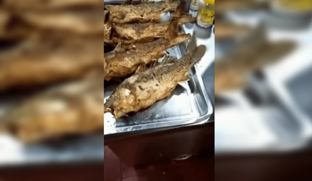 YouTube Viral: pescado frito se mueve en plato y asusta a miles [VIDEO]