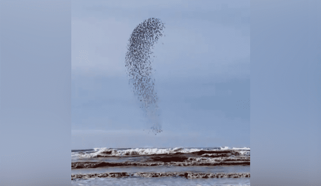 YouTube viral: capta extraña ‘mancha’ que se mueve en el cielo, hace zoom y descubre algo maravilloso [VIDEO]