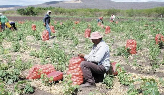 Agricultores participaron en experiencia comercial y de exportación. Foto: Gerencia Regional de Agricultura.