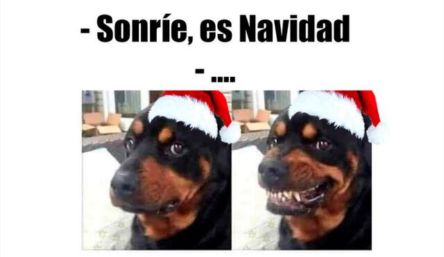 Mira y comparte los mejores memes de Navidad que se viralizaron en redes sociales [FOTOS]