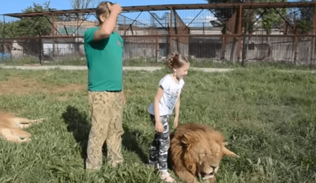 YouTube viral: Niña entra a calabozo de leones y la reacción de estos deja impactados a todos [VIDEO]