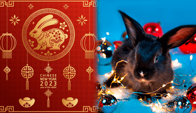 El año nuevo chino se caracteriza por ser la del conejo; por lo que varios creyentes esperan emocionados la legada del nuevo año. Foto: Hanna Taniukevich/ Getty Images/ Composición LR