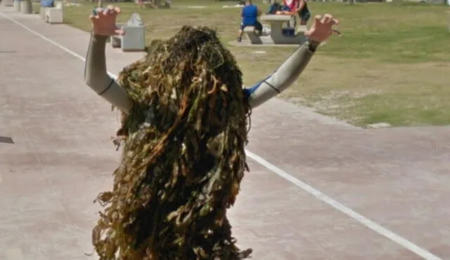 Google Maps: Las cámaras captaron a un grupo de bañistas huyendo de 'extraña criatura' de algas [FOTOS]