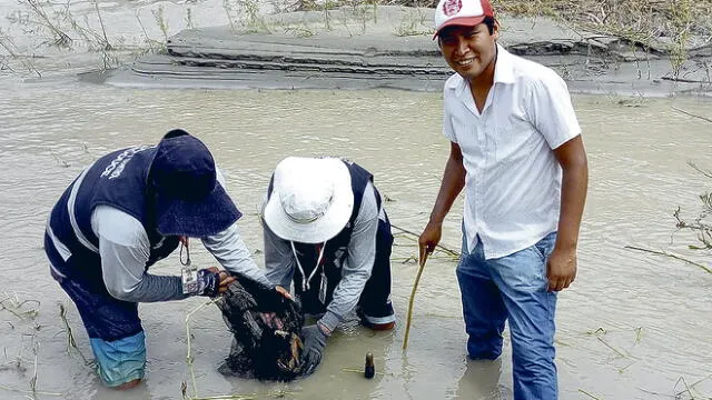 Detienen 5 pescadores que capturan camarón en veda en Arequipa