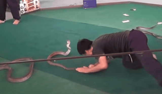 YouTube viral: hipnotizadores de cobras dejan en shock a miles tras presentación nunca antes vista [VIDEO]
