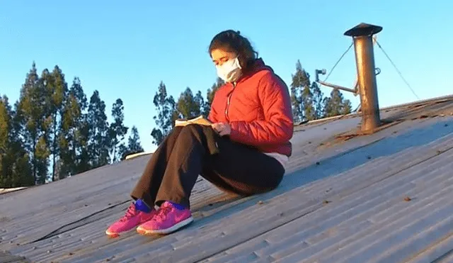 La joven estudiante vive en una zona rural de la Araucanía, donde casi la mitad de los centros de estudio no cuenta con señal de internet para continuar con las clases virtuales. (Foto: Difusión)