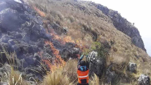 Otro incendio forestal en Apurímac afectó terrenos con cobertura natural.