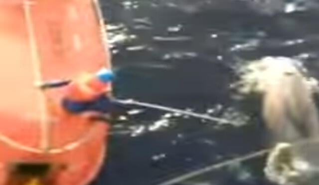 YouTube: Conmovedor video muestra a joven saltar de una embarcación para salvar a una ballena 