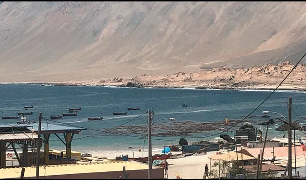 La tragedia ocurrió en la caleta San Marcos, en Iquique. Foto: Noticias de Iquique