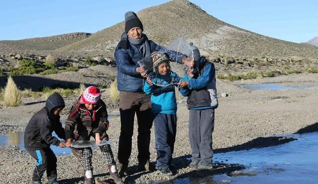 Más de 50 mil afectados por heladas en Huancavelica