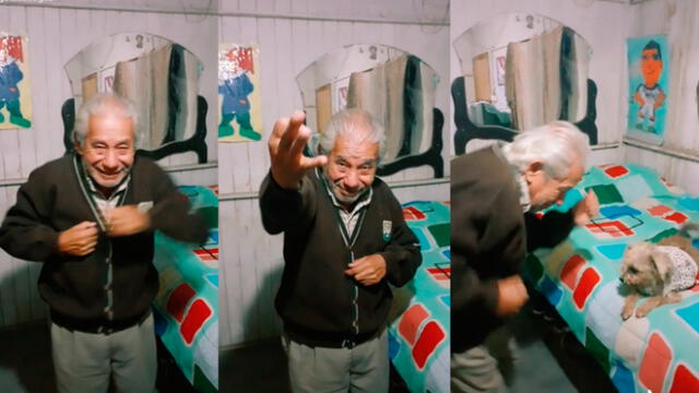 Desliza las imágenes para ver la divertida coreografía que hizo un anciano junto a su querida mascota. Foto: elabuemax/TikTok