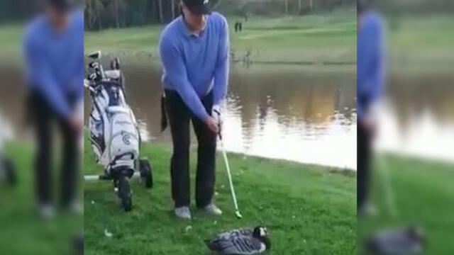 YouTube: Golfista decapita a ganso y es detenido por la Policía