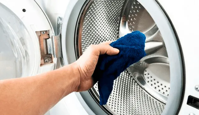 Consejos útiles para eliminar el moho de la lavadora de forma natural