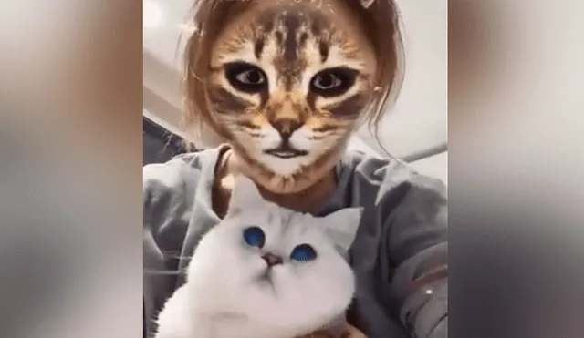 Desliza hacia la izquierda para ver la reacción que tuvo el felino al ver el filtro del gato que se ha vuelto viral en Facebook.