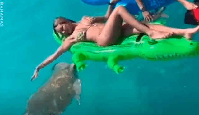 Facebook viral: joven fue atacada por tortuga marina y quedó aterrada [VIDEO] 