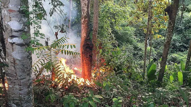 Charly Alberti y su fuerte mensaje contra Jair Bolsonaro por incendio en la Amazonía [VIDEO]