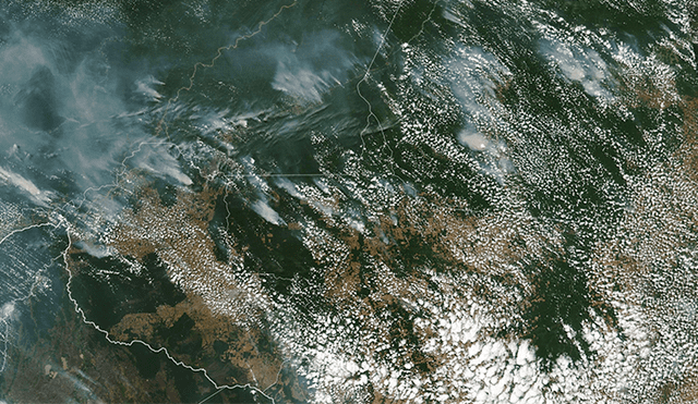 Incendio en la Amazonía: el fuego sigue destruyendo la selva de Brasil [EN VIVO]