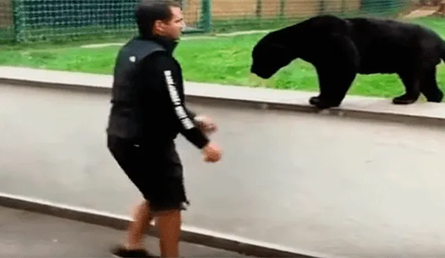 YouTube viral: implacable pantera aparece sigilosamente y sorprende por la espalda a su cuidador [VIDEO]