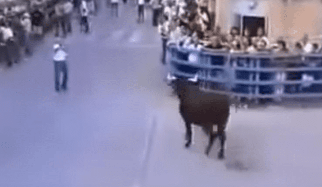 La sorprendente reacción de un toro al encontrarse con el hombre que lo crió [VIDEO]
