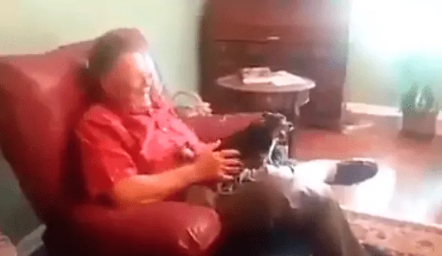 En YouTube, un perro no quería estar separado de su dueño y sorprendió con su comportamiento para evitar que lo alejen de él.