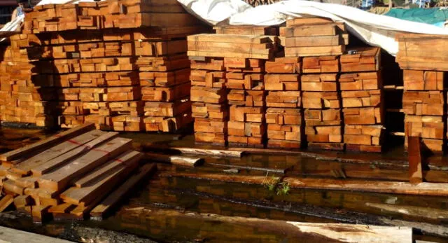 Primera rueda de negocios forestal logra compromisos de ventas por casi 6 millones de soles