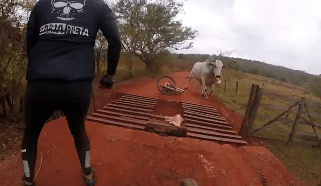 YouTube: Ciclistas extremos se enfrentan a furioso toro y viven para contarlo