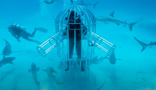 Mark Rober se sumergió en el mar para llevar a cabo su experimento. Foto: Captura/YouTube/Mark Rober