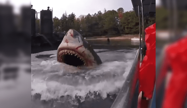 Facebook viral: Enorme 'tiburón' surge del mar y aterra a grupo de turistas [VIDEO]