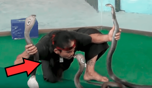 YouTube viral: hipnotizadores de cobras dejan en shock a miles tras presentación nunca antes vista [VIDEO]