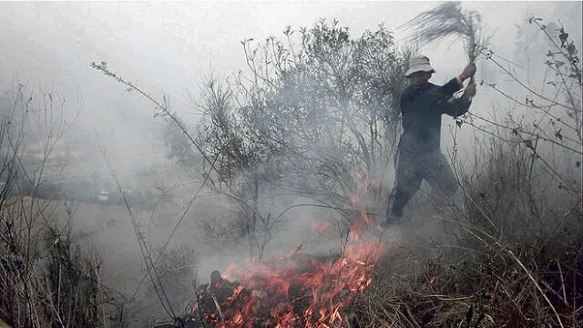 Incendio forestal deja una menor muerta y tres heridos en Cusco