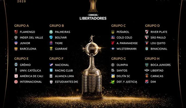 Copa Libertadores 2020 EN VIVO: mira el fixture, hora y canal de los partidos de Alianza Lima, Binacional y todos los demás encuentros
