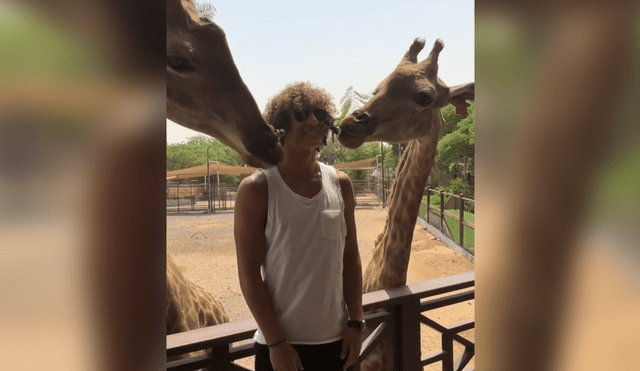 Facebook: David Luiz se acercó a unas jirafas y casi se comen su cabello [VIDEO]